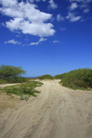 Street through a sandy beach areaの写真素材