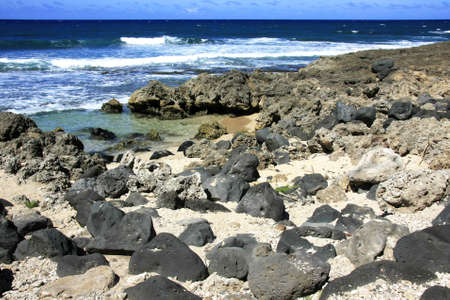 The hawaiian coast at Oahuの写真素材