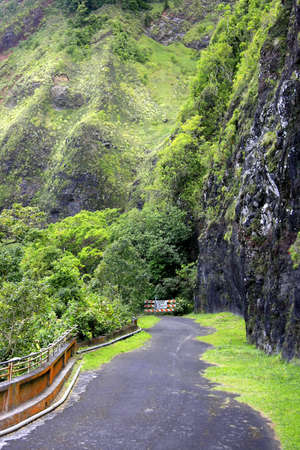 Closed road into the wilderness verticalの写真素材