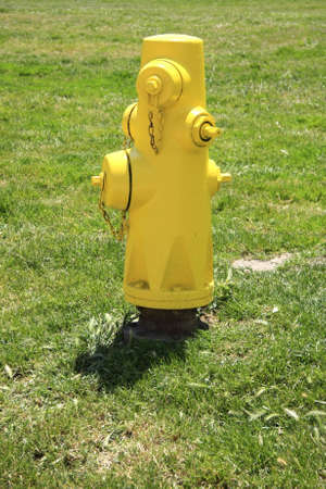 Yellow hydrant on green grassの写真素材