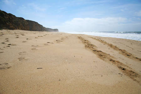 Picture of a beach from a lower levelの写真素材