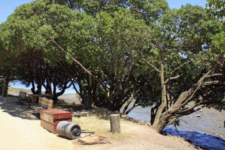 Trash and benches at a beachの写真素材