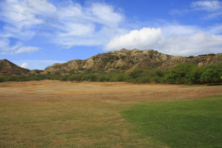 Landscape with dried grass and trees and hills in backgroundの写真素材