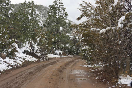 Unpaved road through snowy forestの写真素材