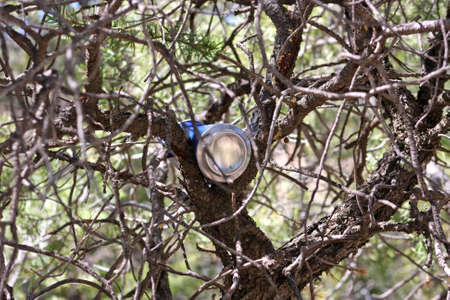 Used can dumped in natureの写真素材
