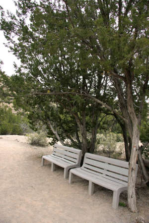 Rest in the desert on a bench under a treeの写真素材