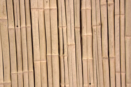 Background made of Bambooの写真素材