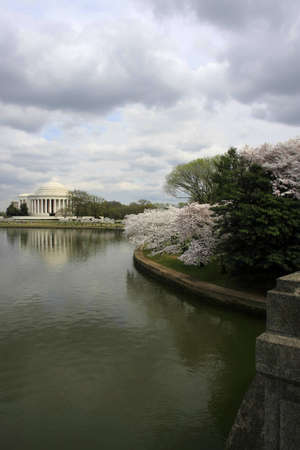 Jefferson Memorial during cherry blossomの写真素材