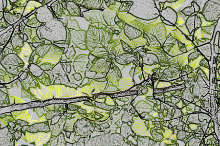 Artistic sketch of leaves over grey backgroundの写真素材