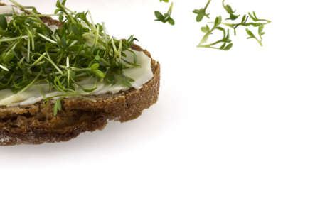 A bread with butter and fresh cress with sprouts in backgroundの写真素材