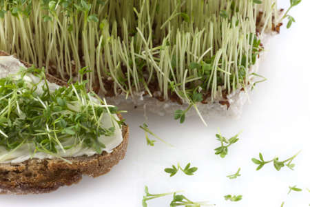 A bread with butter and cress in front of fresh cut cressの写真素材