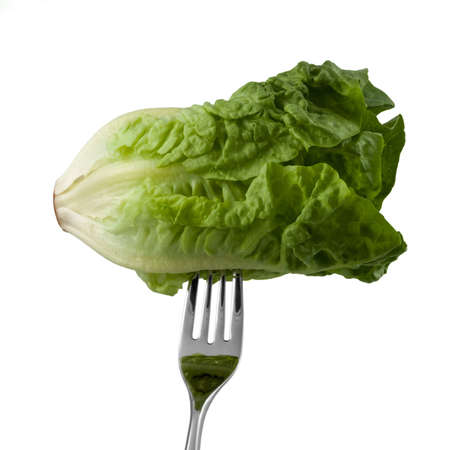A whole romana salad on a fork over white backgroundの写真素材