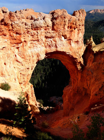 View into Bryce Canyon Natural Bridge during afternoonの写真素材