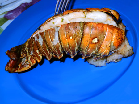 A fresh grilld lobster tail on a blue plateの写真素材