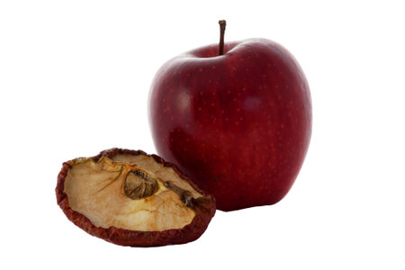 A fresh apple and a dried quarter of an apple in frontの写真素材