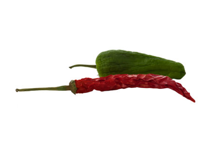 A dried red chile and an almost dried green chileの写真素材