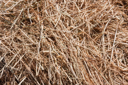 Closeup shot of a huge haystackの写真素材