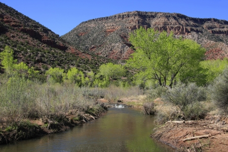 View along the Jemez River in New Mexico with cottonwood treesの写真素材