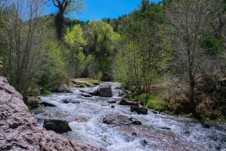 A river flows through a forest in springの写真素材