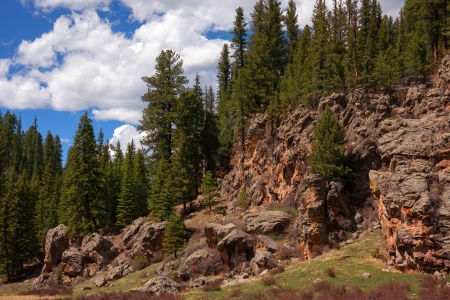 Alpine rock formation in New Mexico forestの写真素材