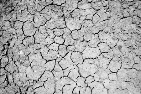 Background of cracked and dusty grey soilの写真素材