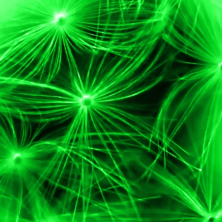 Square macro shot of Dandelion Seedsの写真素材