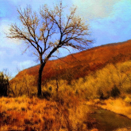 A square shot of a tree at a riverの写真素材