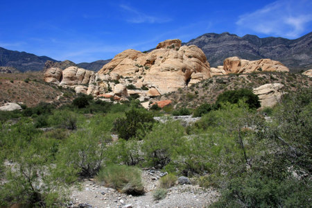 Landscape Views in Red Rock Canyon, Las Vegas Nevadaの写真素材
