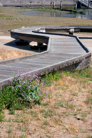 Vertical shot of a winding wooden pier during low tideの写真素材
