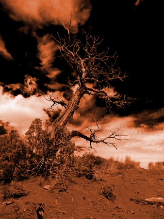 Illustration of a dead tree tinted in dramatic red and orangeの写真素材