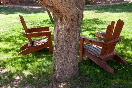 Two wooden deck chairs under a tree in the shadowの写真素材