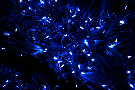 Blue shiny lights in grass in the darkの写真素材