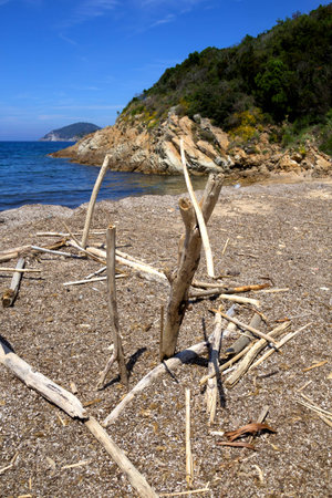 A wooden sculpture at a beachの写真素材