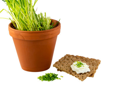 Crispbread with cream cheese and chives and the potの写真素材
