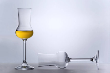 One empty Grappa glass lying and one filled standingの写真素材