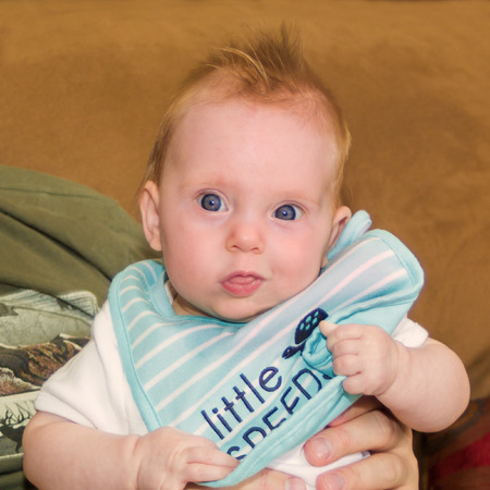 Square portrait shot of an almost four month old baby girl with a bibの写真素材