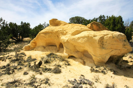 Yellow sandstone formations and green junipers in New Mexico wildernessの写真素材