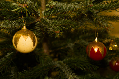 Fine globes hanging at the branches of a christmas treeの写真素材