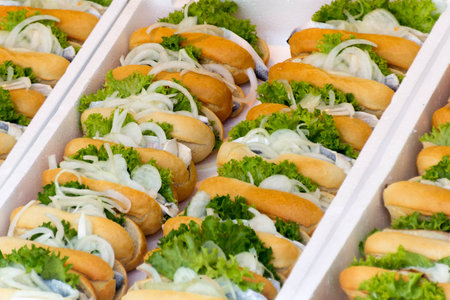 Trays with rolls and fish and lettuceの写真素材