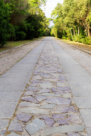 View along an old stone plastered alleyの写真素材