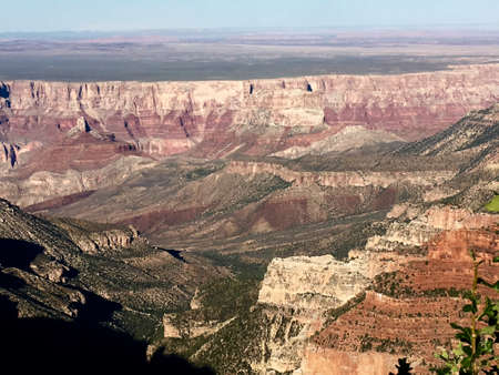 At Grand Canyon North Rim in Arizonaの写真素材