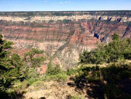 At Grand Canyon North Rim in Arizonaの写真素材