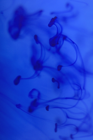 Blue color forming abstract backgroundの写真素材