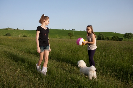 Two teens girls holding torn inflatable ball in meadow, laughing, and little white dog looks at themの写真素材
