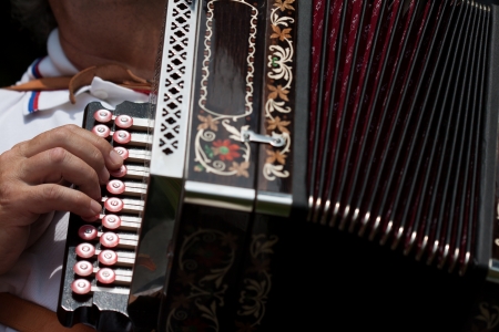 Detail of fingers playing the accordion with buttonsの写真素材
