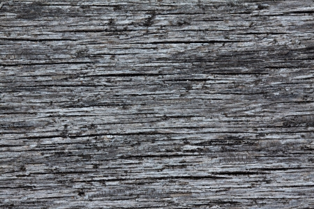 Closeup photo, abstract background, old dry wood structureの写真素材