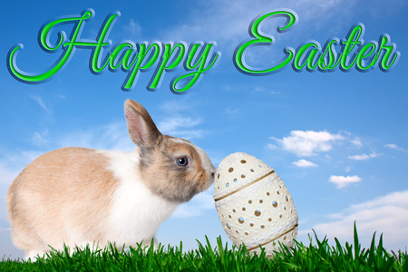 Rabbit pushes carved easter egg on a green field, blue sky in the background with the words Happy Easterの写真素材