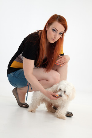 Young redhead woman with her white Maltese dog in studioの写真素材