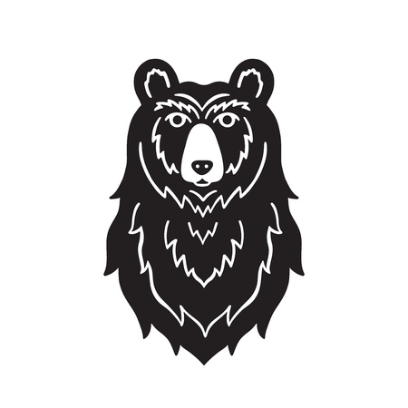Bear head sketch vector. Hand drawn illustration isolated on white background.のイラスト素材