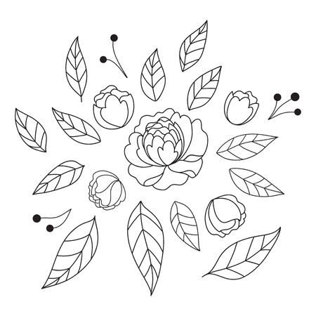 Elegant set of peonies and leaves. Hand drawn beautiful flowers.のイラスト素材